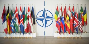 Organización del Tratado del Atlántico Norte (OTAN)